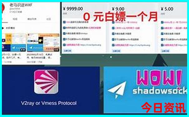 2025暑假去哪玩